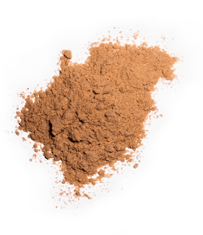 brown coffee alternative mushroom powder